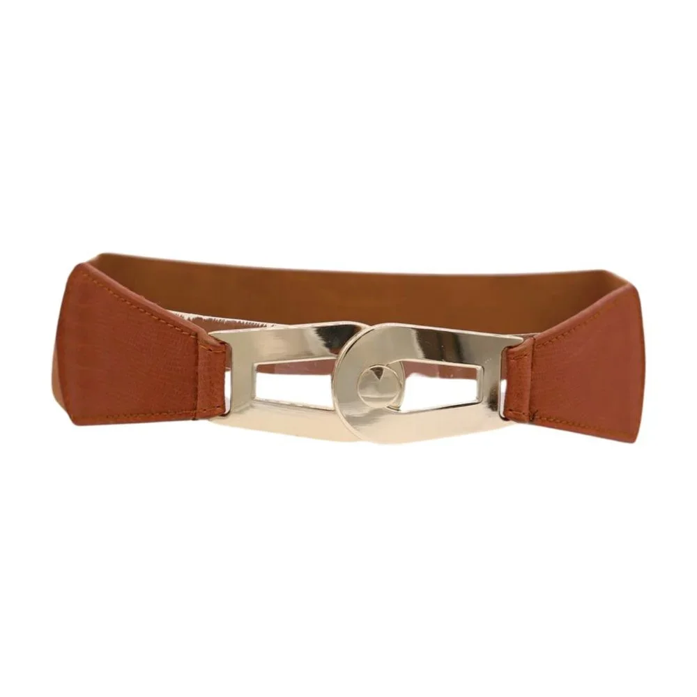Women Brown Elastic Skinny Waistband Hip Waist Belt Gold Metal Buckle S M z046 - Picture 5 of 13